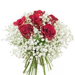 A vision of time-honoured beauty, this classic bouquet glows with the deep, passionate hues of six crimson roses, each blossom unfurling its velvety petals with stately grace. Against a pristine white background, the roses-harvested fresh and assembled by New Eltham's own Flower Delivery New Eltham-form the striking centerpiece, their intense color symbolizing enduring love nurtured within the community's quiet lanes and leafy avenues. Dappled around these focal blooms, abundant clouds of baby's breath (gypsophila) flutter like delicate flakes, lending a light, ethereal presence reminiscent of early morning mist over Fairy Hill Park. Each tiny white bud offers a soft counterpoint to the roses' boldness, together crafting a bouquet with visual harmony and gentle, understated fragrance. At the base, verdant green stems are gathered tightly, signifying the bouquet's freshness and authentic, hand-tied artistry. Bathed in soft daylight, every petal and leaf is rendered with loving attention to detail, creating a composition that is both inviting and elegant. Perfect for marking milestones-a wedding anniversary on Green Lane, a birthday surprise, or a gesture of pure affection-this arrangement channels the refined romantic spirit cherished in New Eltham, inviting admiration and heartfelt appreciation on any special day.